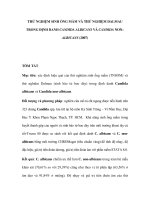 Thử nghiệm sinh ống mầm và thử nghiệm Dalmau trong định danh Candida Albicans và Candida Non-albicans 