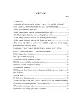 Hành vi mua của khách hàng tổ chức với hoạt động marketing của công ty cổ phần cơ điện Alphanam