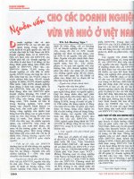 Nguồn vốn cho các doanh nghiệp vừa và nhỏ ở Việt Nam.pdf