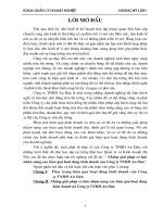 Những giải pháp cơ bản nhằm nâng cao hiệu quả hoạt động sản xuất kinh doanh của công ty TNHH