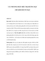 các phương pháp điều trị sỏi ống mật chủ kèm sỏi túi mật