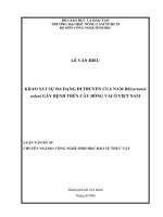 Khảo sát sự đa dạng di truyền của nấm