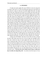 Trình bày tiến trình cổ phần hoá tại Công ty CP tấm lợp và vật liệu xây dựng Đông Anh