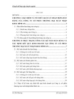 Hoàn thiện kế toán bán hàng và xác định kết quả kinh doanh tại công ty Cổ phần thương mại xuất nhập khẩu Bình An