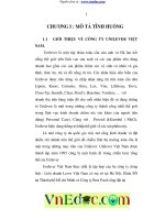 Chiến lược marketing của công ty Unilever