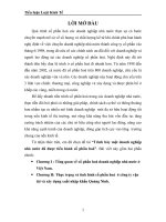 Trình bày một doanh nghiệp nhà nước đã được tiến hành cổ phần hoá