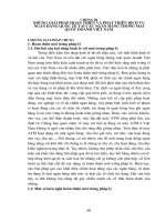 Dịch vụ ngân hàng quốc tế – giải pháp hoàn thiện và phát triển - chương 3