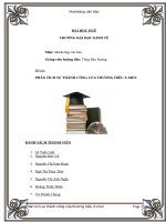 phân tích sự thành công của thương hiệu x_men tại thị trường VIẸT NAM