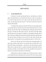 Phương pháp định giá các công cụ chứng khoán phái sinh và một số gợi ý cho Việt Nam.pdf