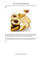 Hoa quả trong phong thủy