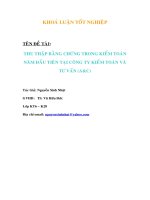 Thu thập bằng chứng trong kiểm toán năm đầu tiên tại công ty kiểm toán và tư vấn (A&C)