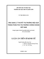 Ứng dụng lý thuyết thị trường hiệu quả trong phân tích thị trường chứng khoán Việt Nam