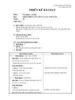 Giáo án Tự nhiên và Xã hội - Lớp 2 - Nhận biết cây cối và các con vật