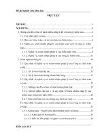 Hoàn thiện tổ chức bộ máy kiểm toán độc lập ở Việt nam