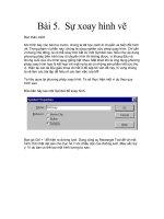 Sự xoay hình vẽ