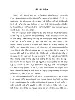 Ảnh hưởng của vốn đầu tư nước ngoài đối với nền kinh tế Việt Nam .doc