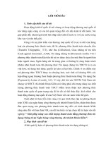 Giải pháp nâng cao chất lượng thanh toán bằng phương thức tín dụng chứng từ tại Ngân hàng công thương chi nhánh Hoàn Kiếm