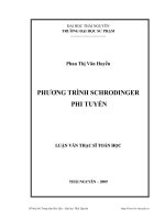 Phương trình schrodinger phi tuyến