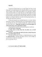 Thương hiệu sản phẩm của các Doanh nghiệp VN trên thị trường va Một số Giải pháp xây dựng