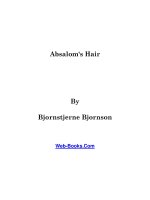 Absalom's Hair