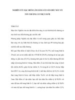 Nghiên cứu đặc điểm lâm sàng gãy sàn hốc mắt có tổn thương cơ trực dưới