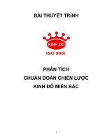 Phân tích chuẩn đoán chiến lược kinh đô miền bắc