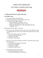 Chiến lược marketing của công ty hoda việt nam