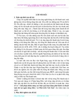 Giải pháp nhằm nâng cao hiệu quả hoạt động phát hành và thanh toán thẻ tại BIDV