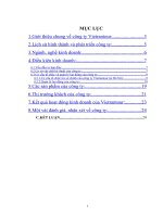 Kết quả hoạt động kinh doanh của Vietrantour