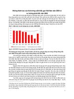 thị trường xuất khẩu gạo 2008, triển vọng 2009