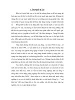 Nâng cao năng lực cạnh tranh của sản phẩm may mặc xuất khẩu của Công ty cổ phần May Thăng Long trên thị trường Mỹ