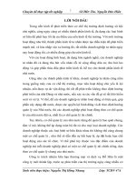 Thiết lập cơ chế quản lý tài chính tại công ty TNHH thương mại và dịch vụ Đỗ Hữu