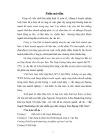 Kế hoạch Marketing cho sản phẩm que hàn công ty Vạn Đạt tại Việt Nam