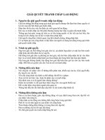 giải quyết tranh chấp lao động: