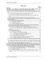 Một số giải pháp huy động vốn đầu tư nhằm phát triển ngành Tài nguyên và Môi trường.pdf