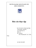 Hoạt động Marketing Công ty TNHH Bách Tuyến