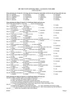 Đề thi thử đại học môn tiếng anh 6