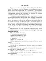 Xuất khẩu hàng may mặc của Việt Nam sang thị trường EU- thực trạng và Giải pháp phát triển