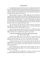 Chiến lược Marketing -mix cho cạnh tranh nhãn hiệu của công ty bia Hà Nội