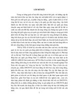 Hội nhập AFTA: cơ hội và thách thức đối với các Doanh nghiệp Công nghiệp Việt Nam