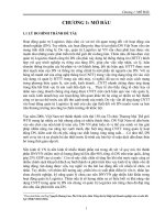 Khảo sát mức độ tin học hĩa trong quản trị logistics của các doanh nghiệp vừa và nhỏ tại thành phố hồ chí minh phần 2