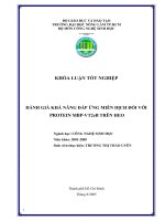 Đánh giá khả năng đáp ứng miễn dịch đối với Protein MBP-VT2eB trên heo.pdf