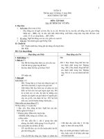 Giáo án Tiếng Việt khối 2 - Học kì I - Tuần 12