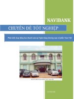Phát triển hoạt động bao thanh toán tại Ngân hàng thương mại cổ phần Nam Việt