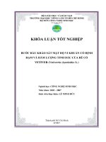 Bước đầu khảo sát mật độ vi khuẩn có định đạm và hàm lượng tinh dầu của rễ cỏ vetiver