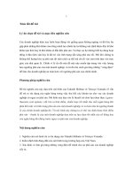 Mô hình xác định ngưỡng phá sản doanh nghiệp ở Việt Nam