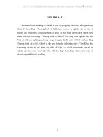 Báo cáo thực tập tại Viện Khoa học Lao động và Xã hội