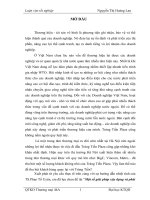 Một số giải pháp xây dựng và phát triển thương hiệu Tràng Tiền Plaza tại Công ty TNHH Đầu tư thương mại Tràng Tiền