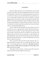 Đẩy mạnh tiêu thụ sản phẩm của Công ty TNHH Nhà nước một thành viên Chế tạo Điện cơ Hà Nội