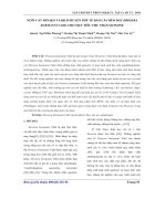 Nuôi cây mỡ seo và dịch huyết phụ tế bào cây bèo đất